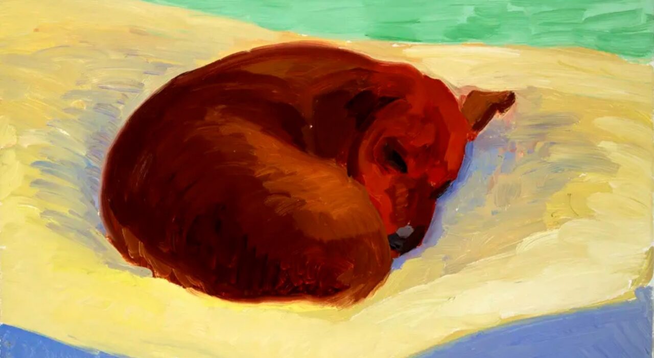 Imagem: Dog (David Hockney, 1995)