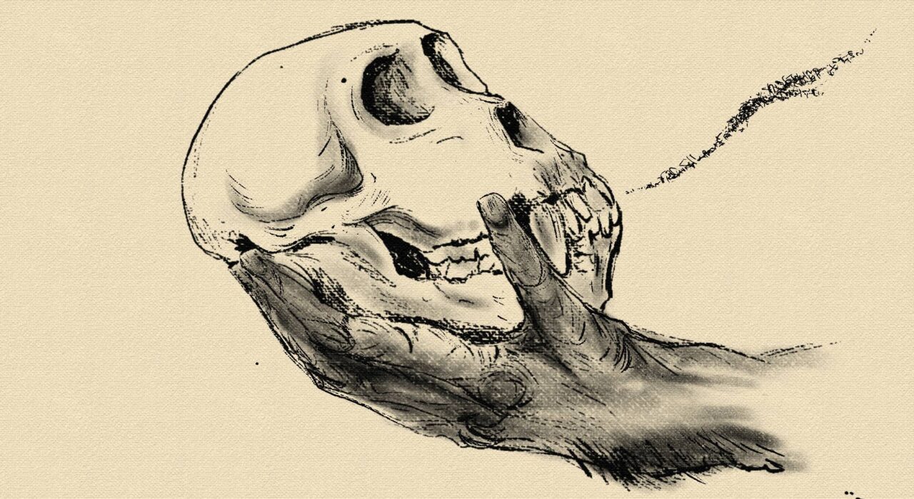 Ilustração: Mär Cozta, 2025