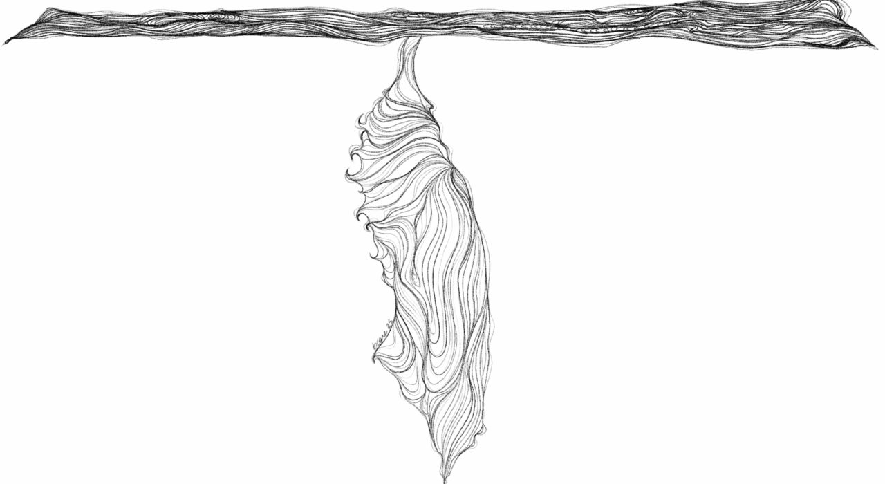 Ilustração: Beare, 2025